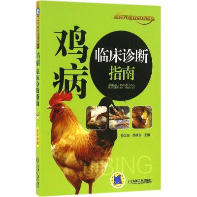 正版新书]鸡病临床诊断指南孙卫东9787111538714