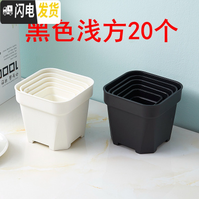 三维工匠经典加强特厚黑白小方大方多肉家庭园艺植物塑料磨砂浅方花盆 黑色浅方20个 10.5cm口径花盆容器