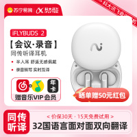 科大讯飞(iFLYTEK)同声传译耳机IFLYBUDS 2 冷霜白 面对面翻译 会议耳机无线蓝牙耳机 入耳式 录音转文字