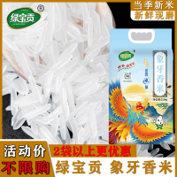 绿宝贡[新品上线]500g装/2袋象牙香米新鲜正宗农家长粒香优质大米南方大米