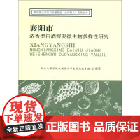 襄阳市浓香型白酒窖泥微生物多样性研究