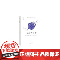 迷宫的回音