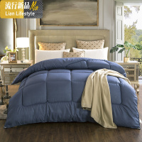 春季被子被芯双人5春秋被春天1单人3斤4一米八2五1.8m四季通用被8 三维工匠