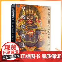 正版 西藏佛教密宗 约翰布洛菲尔德 著 中国藏学出版社藏传佛教藏学书籍西藏文化