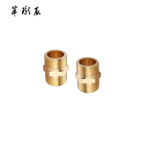 萃珑辰 铜外丝直接 DN15 个