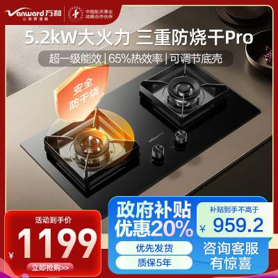万和(Vanward)[小灶君B10 Pro·防干烧]天然气燃气灶5.2kW烟灶联动国家补贴20%嵌入式家用煤气双炉具
