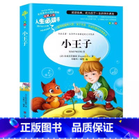 小王子 [正版]小王子书原版原著圣埃克苏佩里小学生青少年三四五六年级必读课外书彩图美绘插画版名师导读带批注读后感真题训练