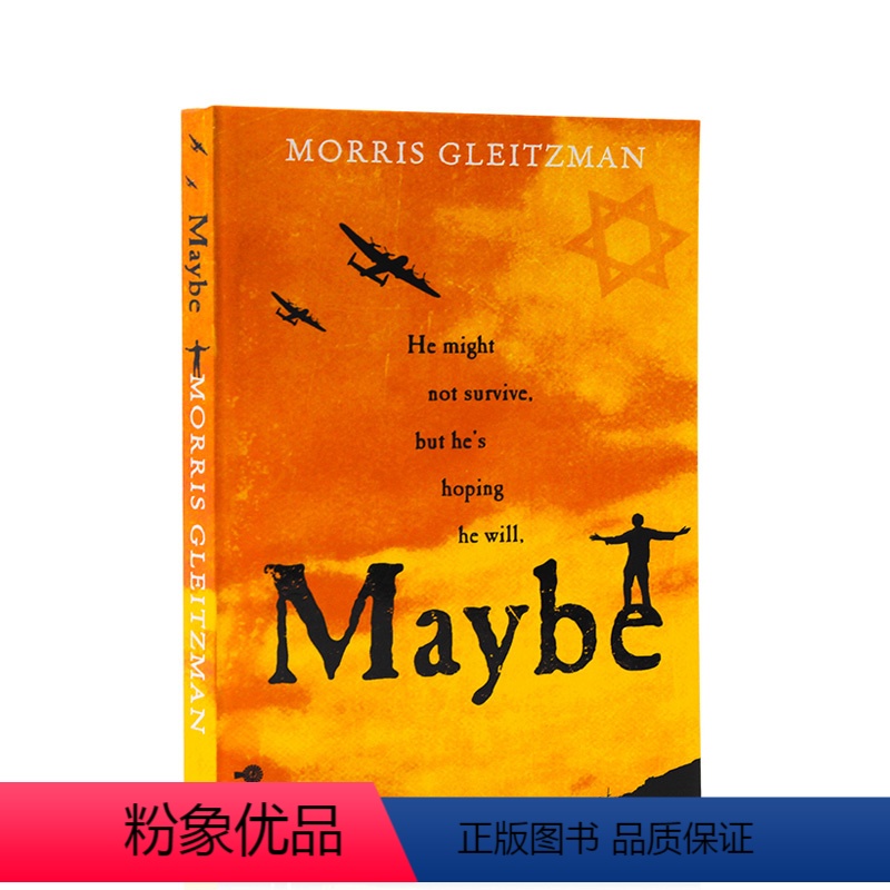 [正版]进口英文原版 Maybe 儿童英语小说书 青少年课外阅读 Morris Gleitzman 莫里斯格雷斯曼 P