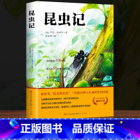 昆虫记 [正版]完整无删减老人与海海明威原著人民文学出版社经典世界文学名著小说四五六年级小学生初中生高中生学校老师课外阅