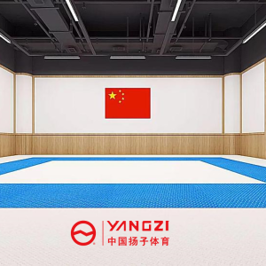 扬子(YANGZI)跆拳道空手道