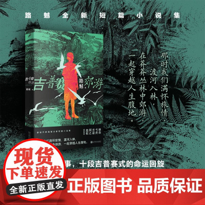吉普赛郊游 路魆 著 小说