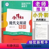 现代文阅读集训 小学升初中 [正版]2024培优新帮手 小升初现代文阅读集训 小学六6年级语文阅读理解总复习写人记事写景