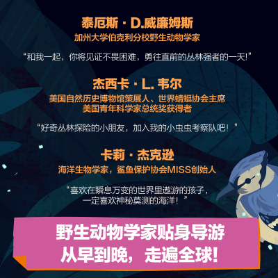 动物的一天:大猫、虫虫和鲨鱼,从早到晚忙什么?