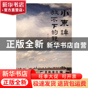 正版 小东淖:放不下的亲情 李小东 等 中国国际广播出版社 97875