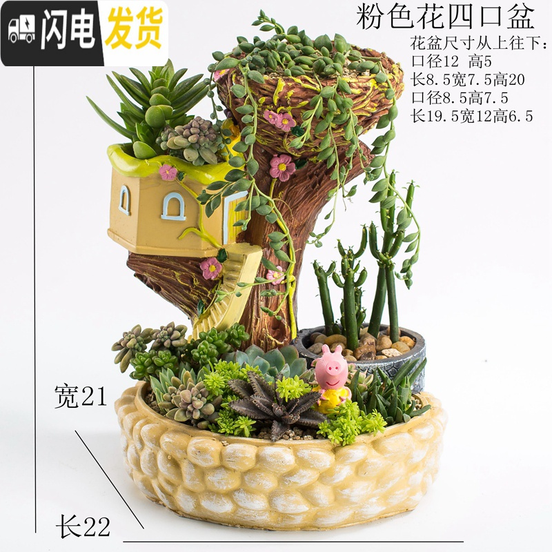 三维工匠创意个性中大号口径多口高房子老桩微景观家用延熹多肉肉植物