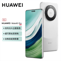 华为Mate60 Pro 12GB+1TB 白沙银 88W快充 全焦段超清影像 鸿蒙OS 120Hz昆仑玻璃屏 支持卫星通话 全网通手机