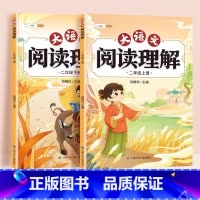 阅读理上下册 小学二年级 [正版]/二年级阅读理解训练小学语文人教版2年级上册下册专项训练书看图写话每日一练 课外强化训