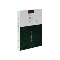 音像当代视觉影像丛书—中国风景许培武