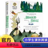 细菌世界历险记 [正版]国际大奖小说6册 柳林风声 草原上的小木屋假话国历险记青鸟兔子坡细菌世界三四五六年级必读课外书老