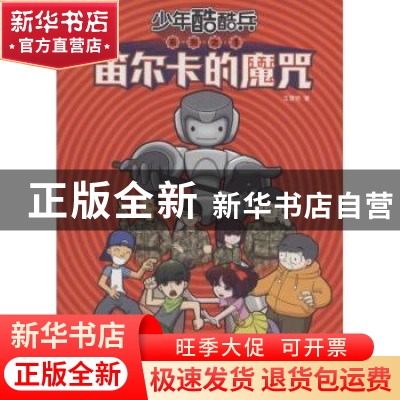 正版 笛尔卡的魔咒 王慧艳著 解放军文艺出版社 9787503325946 书