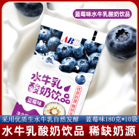 ABD水牛奶酸奶蓝莓味180g*10袋网红儿童学生饮料早餐奶