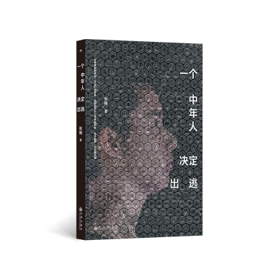 正版新书]一个中年人决定出逃张畅 著9787522534183