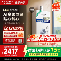 AO史密斯佳尼特16升燃气热水器佳尼特 不锈钢换热器8年包换 恒温大水量 抗风防冻 JSQ31-TC1