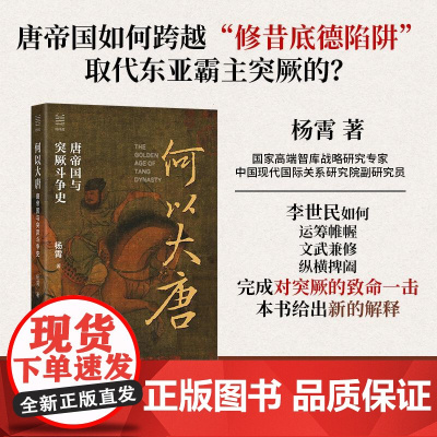 何以大唐唐帝国与突厥斗争史/经纬度 杨霄浙江人民出版社