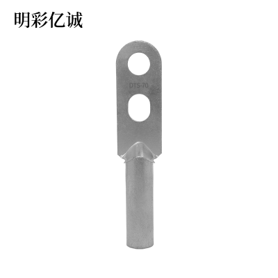 明彩亿诚 镀锡铜鼻子双孔 DTS-70 个