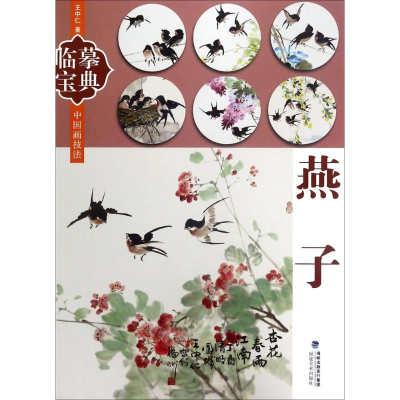 醉染图书临摹宝典9787539336640