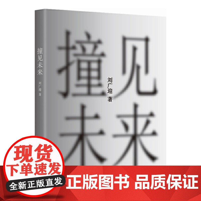 撞见未来 刘广迎 新华出版社 正版书籍