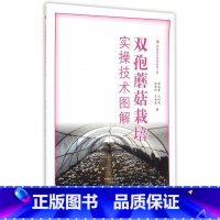 [正版]双孢蘑菇栽培实操技术图解 书籍 木垛图书