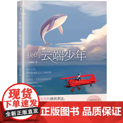我的云端少年