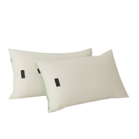 合祥源 ZTJ-ZT02 枕套 480*740mm 单位:件