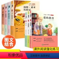 套装 [正版]快乐读书吧六年级上下册全套必读小英雄雨来童年爱的教育鲁滨孙漂流记骑鹅旅行记爱丽丝漫游奇境马克吐温经典小说语
