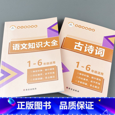 [正版]小学语文知识大全必背古诗词人教版基础知识手册课堂笔记专项强化训练1-6年级知识点集锦辅导学习资料小升初资料包