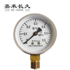 嘉禾长久+氮气压力表检测定制型+Y60+块
