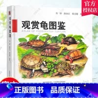 [正版] 观赏龟图鉴 周婷 陈如江 韩克勤 龟科图集 观赏龟产业现状和发展趋势 观赏龟养殖技术书 9787109305