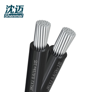 沈迈 铝芯电缆 JKLYJ-0.6/1kV-2*35平方 1米