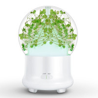 林檎生日女生感恩节送男女朋友闺蜜儿童同城鲜花速递玻璃罩永生玫瑰花送老婆结婚纪念日抖音同款创意礼品送女朋友老婆生日礼物送女