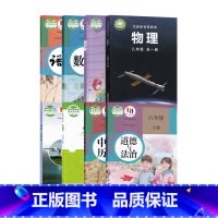 八上英语科普物理沪科生物北师地理湘教语文数学道德历史人教 八年级上 [正版]书店2024适用新版八年级上册仁爱版英语+沪