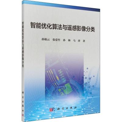 智能优化算法与遥感影像分类