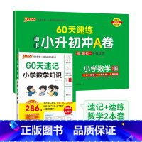 数学[速记+速练]2本 小学升初中 [正版]60天速记小学语文知识小升初数学英语单词词汇六年级总复习基础重点知识大全人教