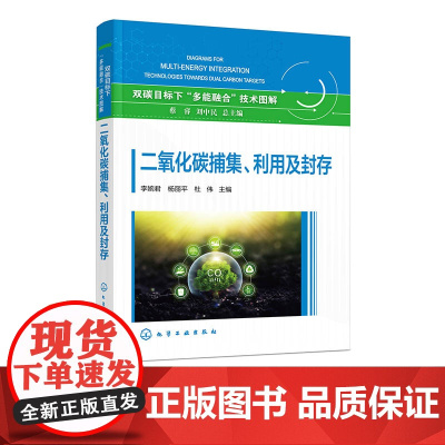 二氧化碳捕集 利用及封存 国内外CCUS领域相关政策 项目与技术现状 CCUS各环节典型技术清单及发展路径 CCUS技术