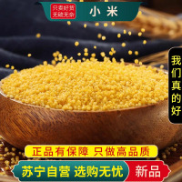米香油厚黄小米100克新米农家食用粘糯米粗粮杂粮黄金小米粥新货