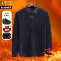 啄木鸟毛衣男款冬季百搭休闲2024新款POLO衫时尚假两件防寒内搭男