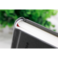 论李贽(朱永嘉作品系列)