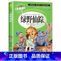 绿野仙踪 [正版]昆虫记原著完整版法布尔著全集小学生三四年级下册必读的课外书老师美绘少儿版人民儿童文学教育阅读书籍山东美