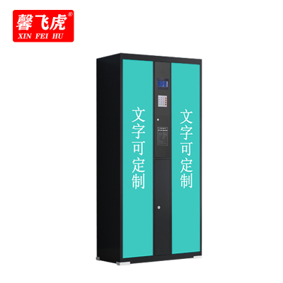 馨飞虎 智能储物柜可定制XFH-DZG10/台