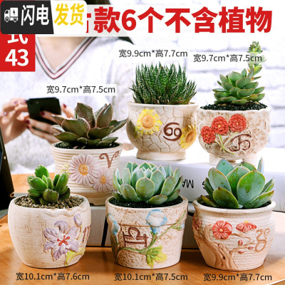 三维工匠多肉花盆陶瓷粗陶透气大口径大号盆栽创意小盆栽 款43套装043(6个) 中小花盆容器